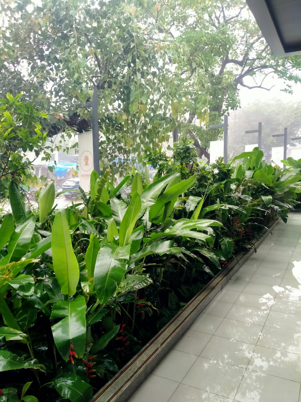 Premium landscape and garden development at Roswalt Raya residential project